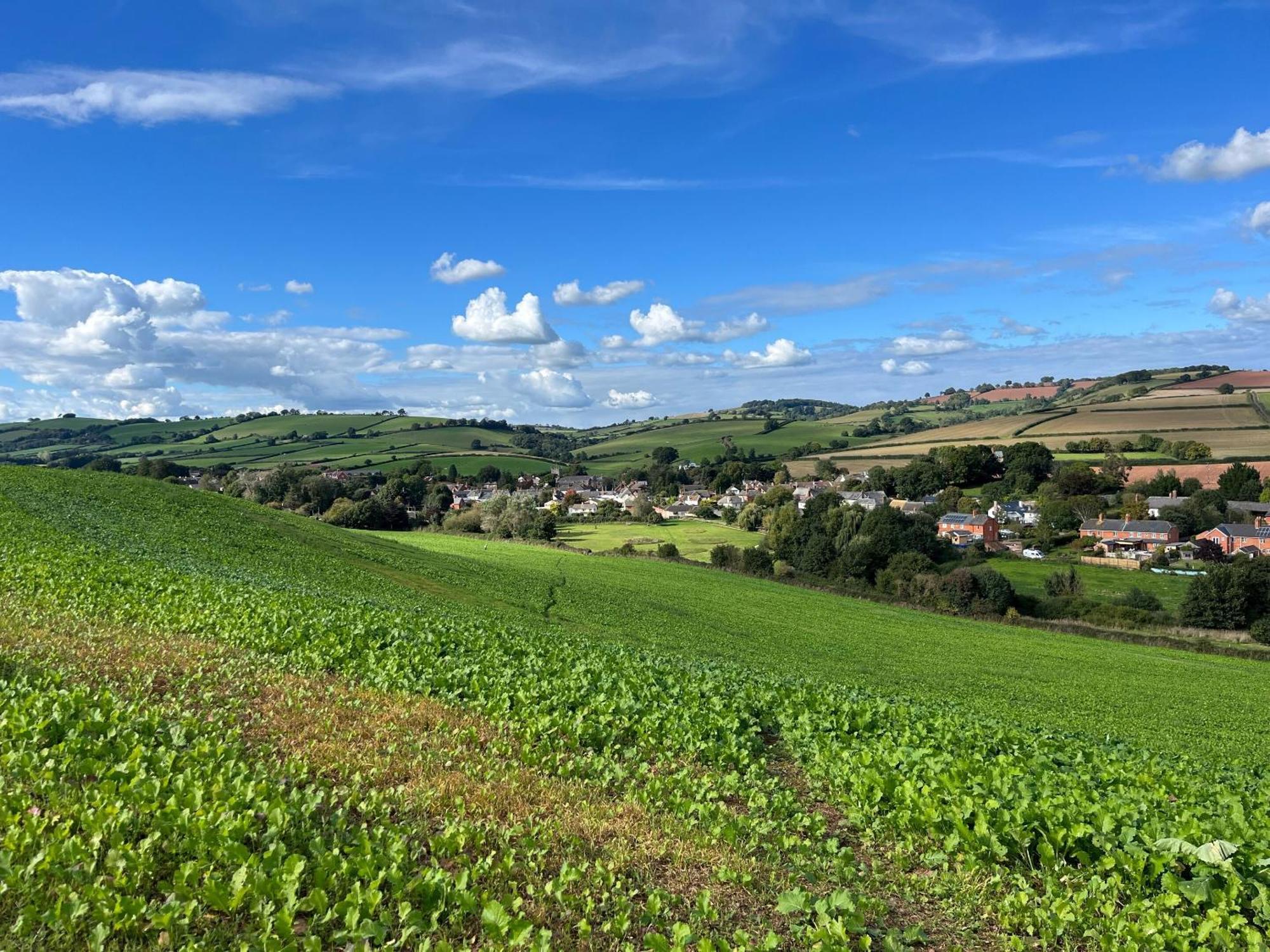 Thorverton Arms Szoba fotó